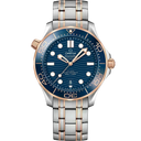 Diver 300M, 42 mm
