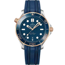 Diver 300M, 42 mm