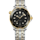 Diver 300M, 42 mm