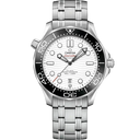 Diver 300M, 42 mm