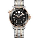 Diver 300M, 42 mm