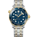 Diver 300M, 42 mm