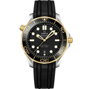 Diver 300M, 42 mm