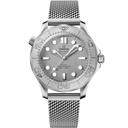 Diver 300M, 42 mm