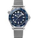 Diver 300M, 42 mm | Special EDITION