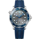Diver 300M, 42 mm | Special EDITION