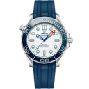 Diver 300M, 42 mm | Special EDITION